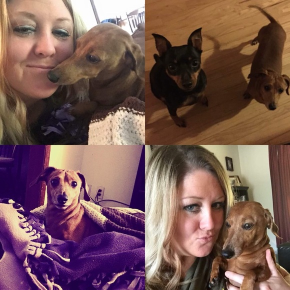 Designer & Luxury Bags, Wallets, Bag charms, Jewelry ๐๐ & Crystals ๐ฎ๐งฟ - Picture 6 of 14